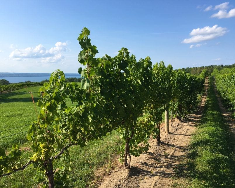 New York Finger Lakes